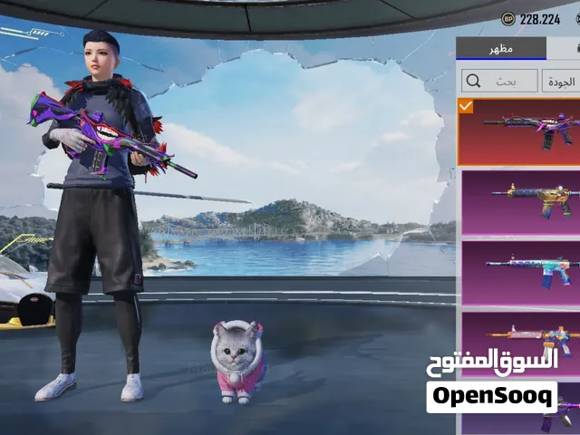 حساب ببجي للبيع بسعر نار