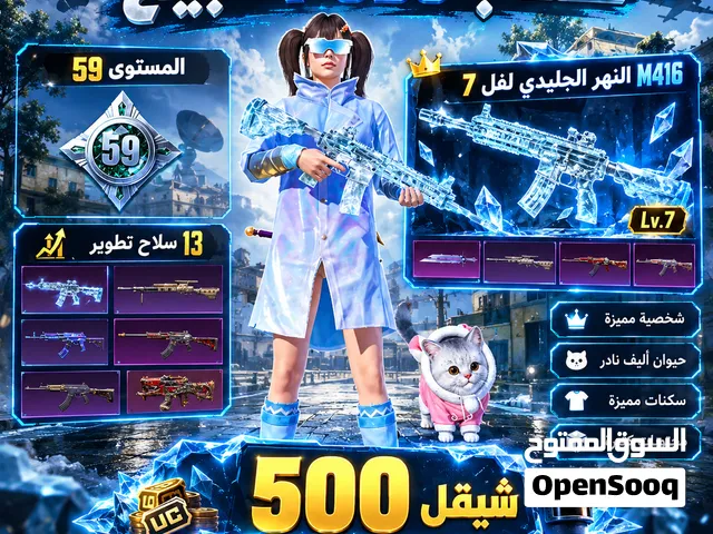 Pubg Accounts and Characters for Sale in Jenin