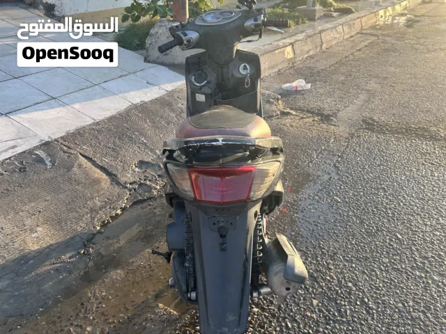 سكنس فحل نوزل للبيع