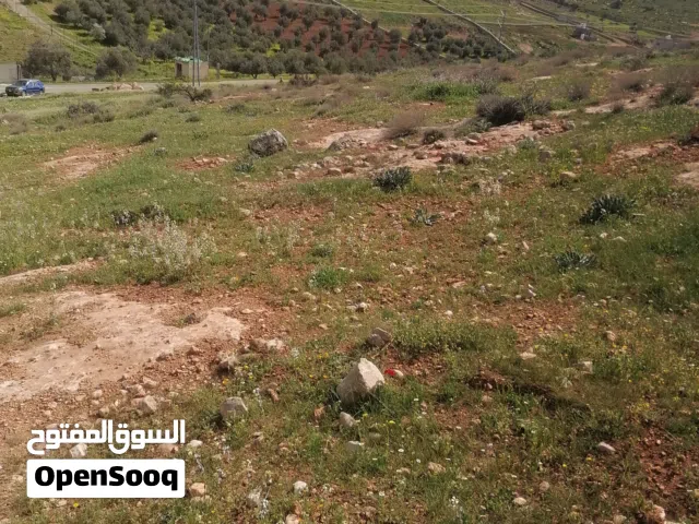 Mixed Use Land for Sale in Jerash Dahl