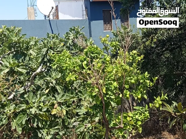 بيت جاهز للسكن مع جنينه وبئر ماء