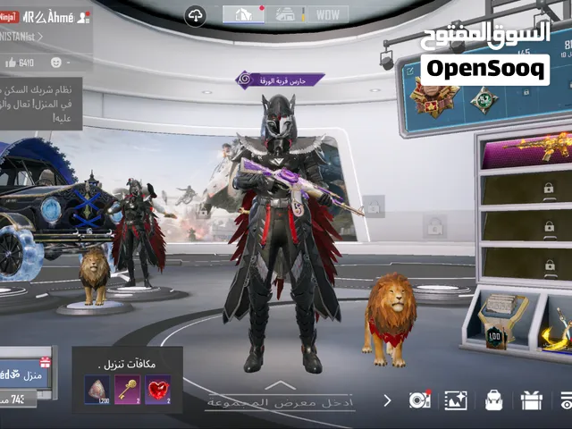Pubg Accounts and Characters for Sale in Cairo