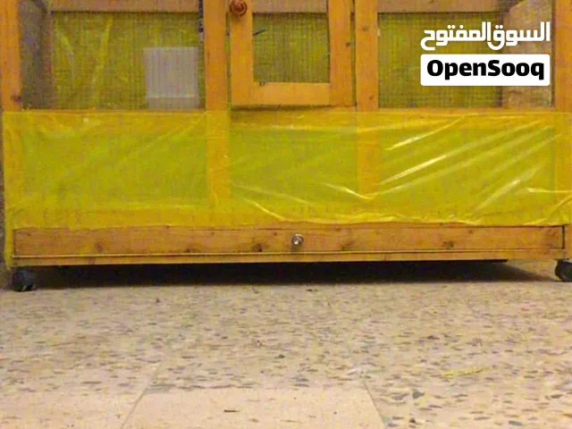 للبيع مطير عصافير