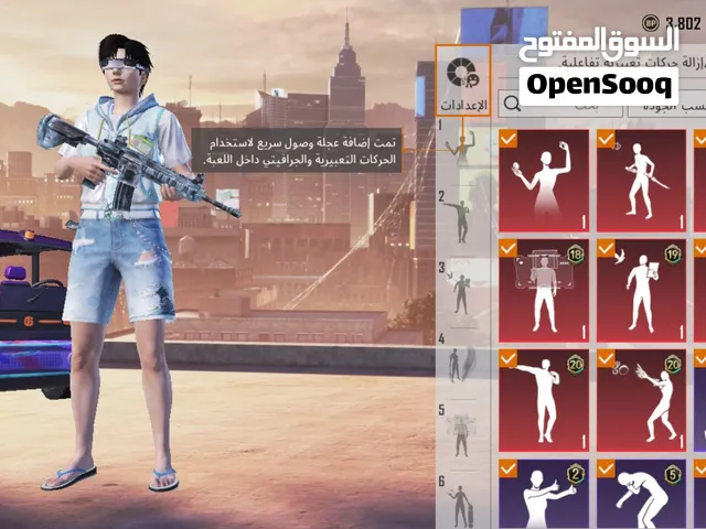 Pubg Accounts and Characters for Sale in Ismailia