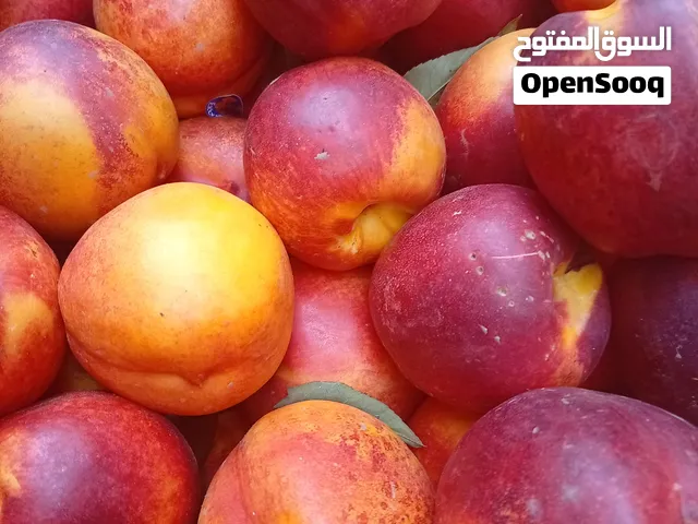 شهدية تمن مناسب