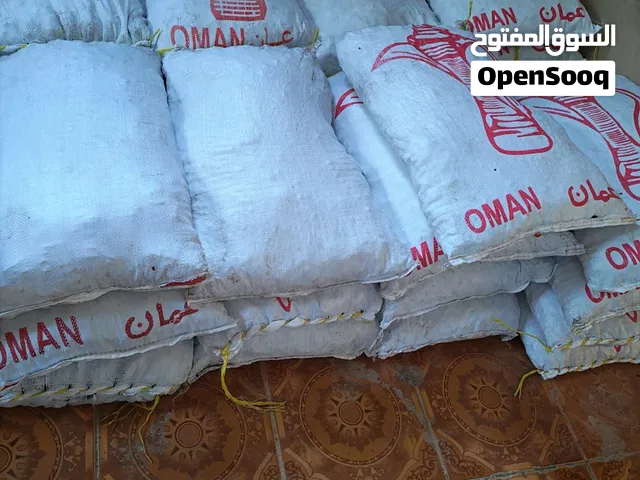 سح نفيعة 2026 الجونية