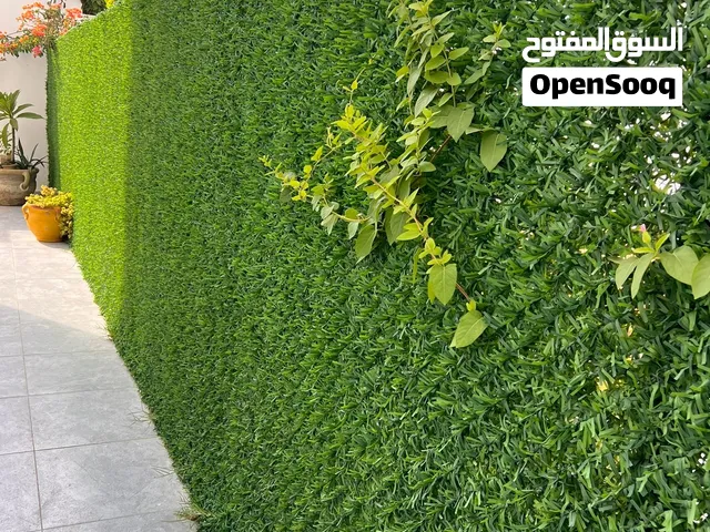 سياج عشبي اخضر