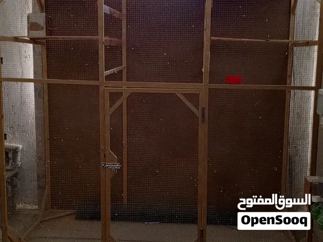 سزنة طيور لوح