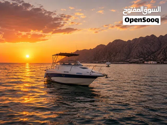 25 Feet Boat – 315 HP Volvo Penta