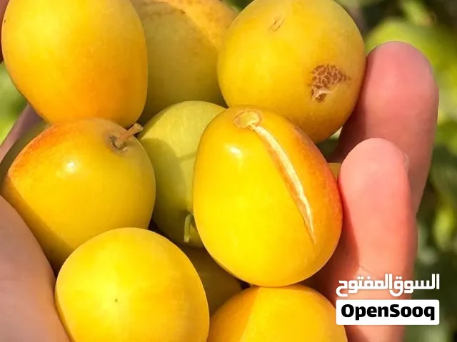 السدر الكمثري العراقي ( العرموطي) بدون بذر يتوفر توصيل لجميع ولايات السلطنة