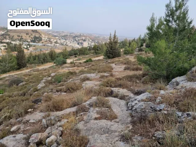 Mixed Use Land for Sale in Hebron Dura