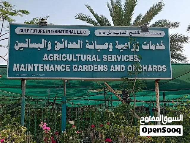 Garden/حديقة