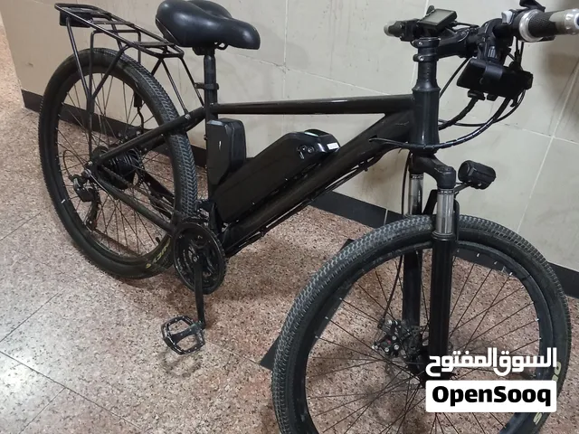 Electric Bike for Sale – Removable Battery, LCD Display & Disc Brakes