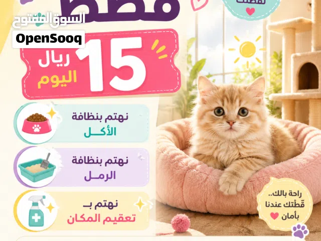 فندقة قطط و خدمات إضافية