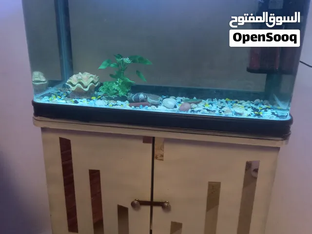 حوض سمك للبيع