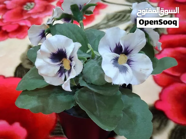 زينه صناعيه للبيع