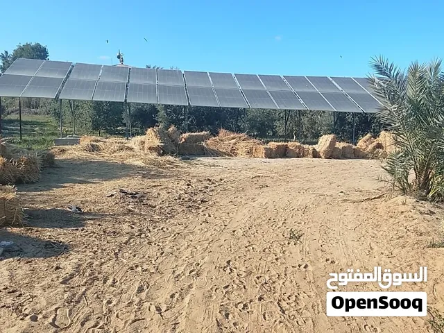 18 فدان ارض مسجله شهر عقاري قريبه من جمعيه العاشر ناحيه كيلو 11 12 فدان زيتون منتج واستراحه وطاقه شم