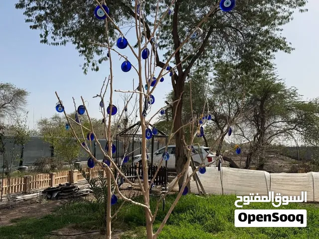 بستان زراعي