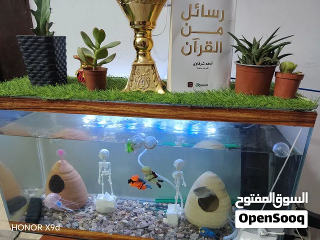 حوض سمك.......