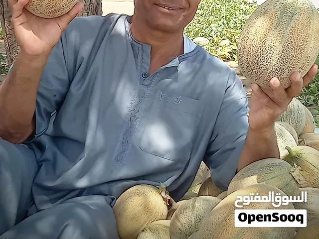 مهندس زراعي لديه خبره في المحاصيل الزراعيه بسلطنه عمان اكثر من 10سنوات وخبره كبيره في التسويق