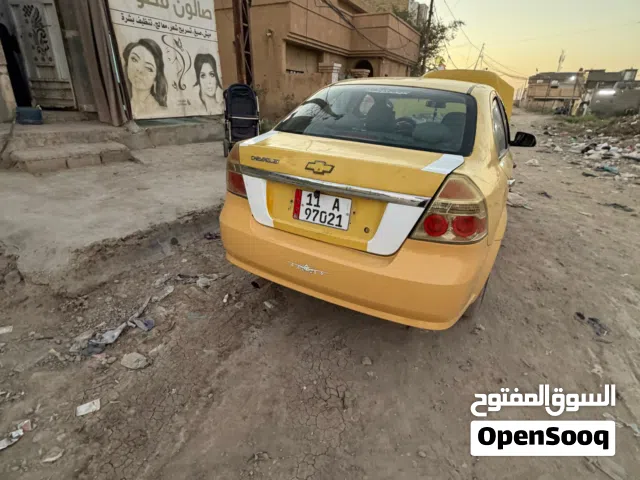 افيو امريكي