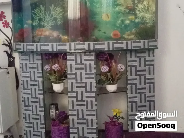 حوض تفصيل شبه جديد