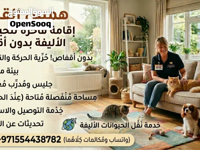 home based Boarding