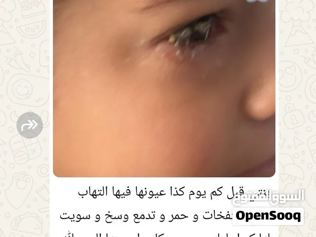 كحل اللبان بريالين