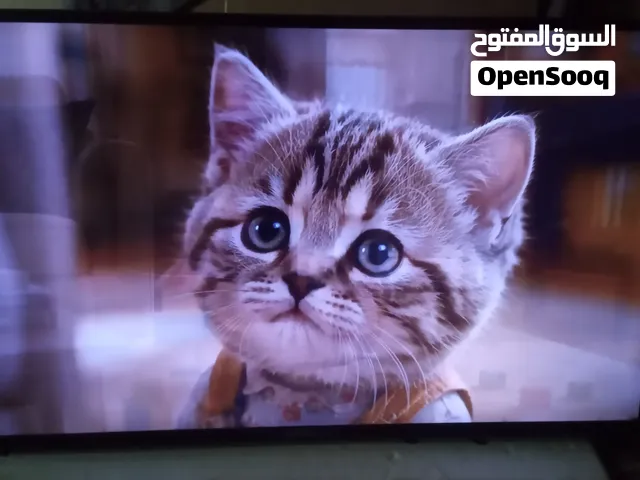 شاشه جنرال انترنت  استعمال بيت نظيفه جدا ريمونت سريع  شغال يوتيوب حجم 43