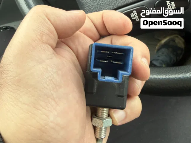 تشيبولا فرينو سنتافي 2008