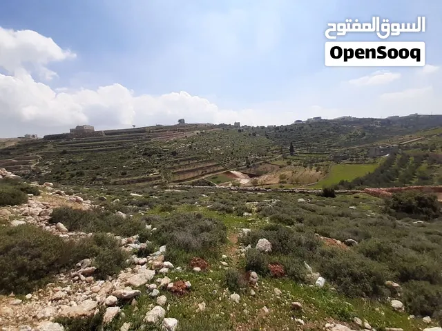 المساحة 5.4 دونم في موقع مميز – واد رحال شعب السلطان طابو ومفروزة