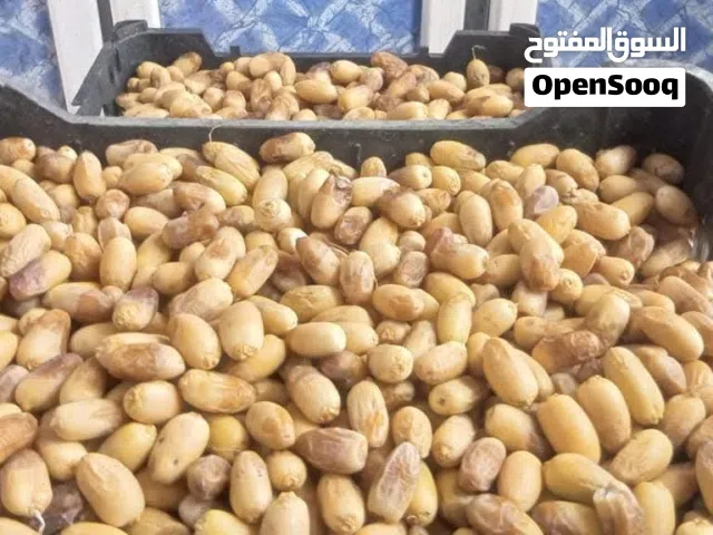 رطب حلاوي ابي الخصيب