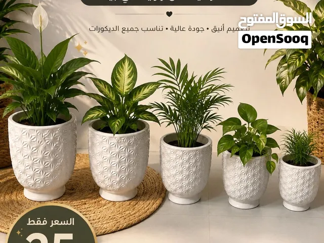 سندانات فاخر