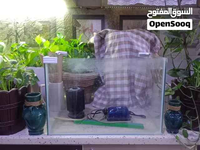 حوض سمك نظيف للبيع