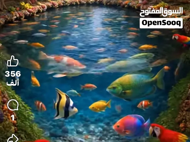 مستحضرات تجميل واغراض واجهزة