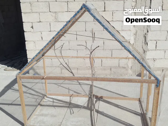 مطير عصافير حجم كبير