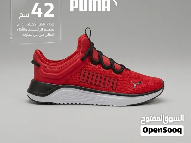 ستايلك بيكمل مع SAKKA SHOES