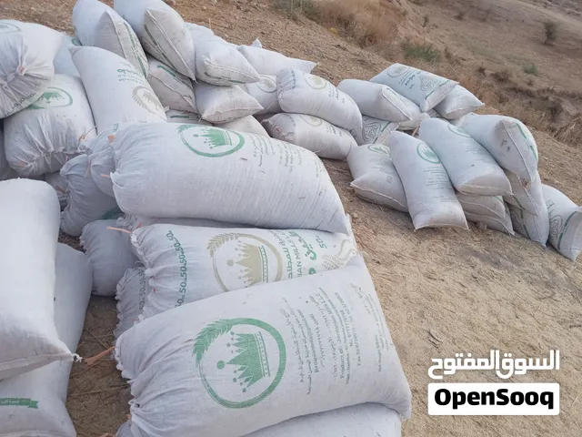 موجود تبن قمح