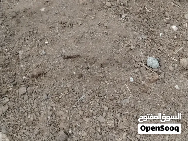 سماد بقر بقر