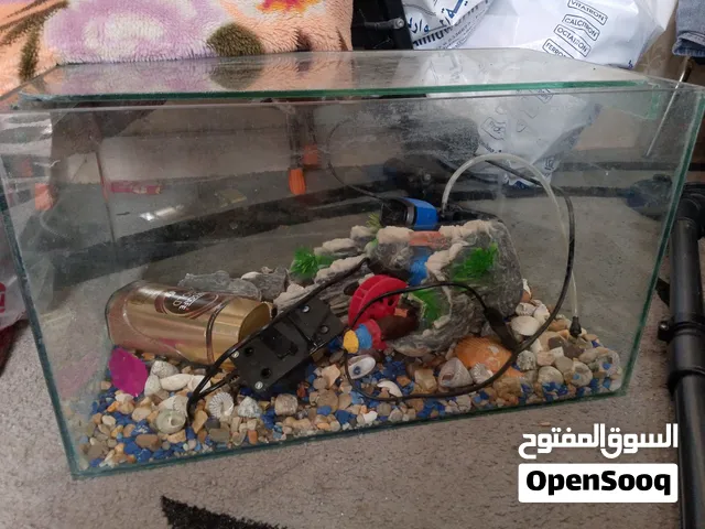 حوض سمك الزينه