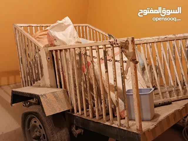 قالوصة للبيع بسعر 500 درهم 500 AED
