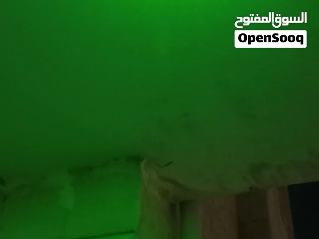 لوكس خط عابر للجبال   اخضر  كشافه و  مع راس الديكور  الف نفقطه  شحن كهربائي فوري يدوم ايام مع مفتاح