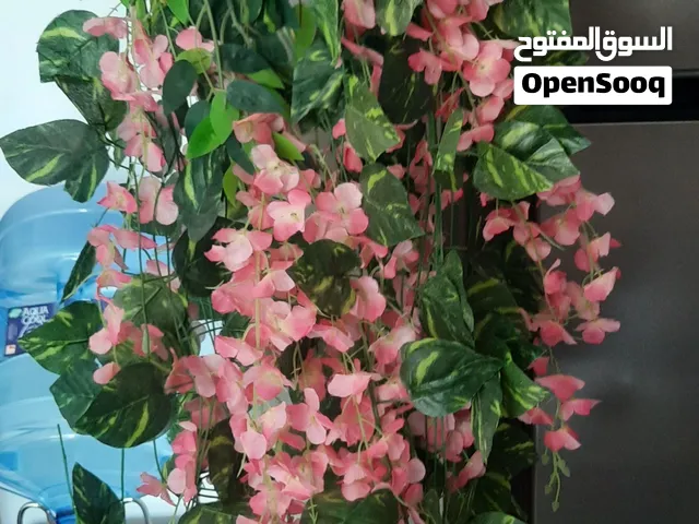 hanging plant and flower decor