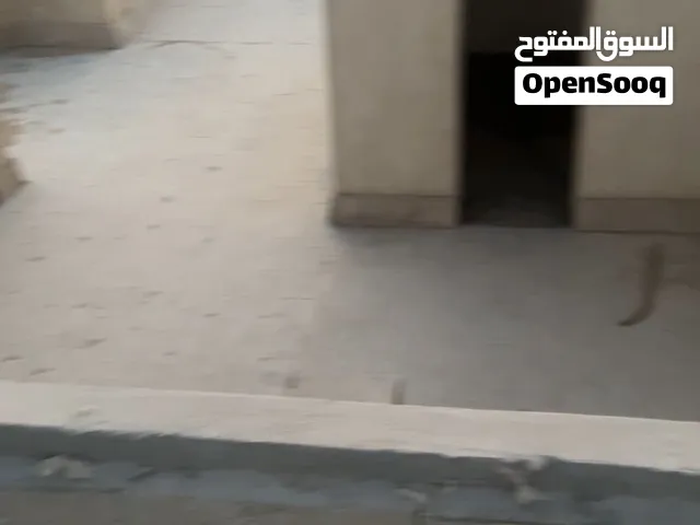 شقة بالروف الخاص بها تاني نمره من شارع النوادي حدائق اكتوبر امام مبني هيئة قضايا ا