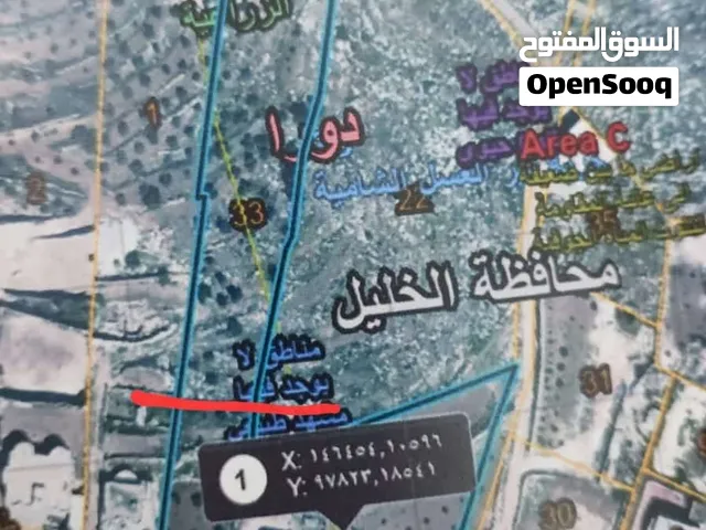 ارض بدورا مساحتها 3 دونم