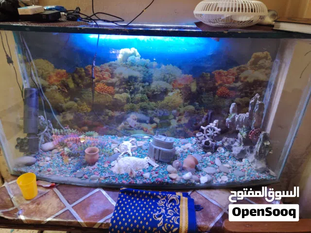 حوض سمك كبير