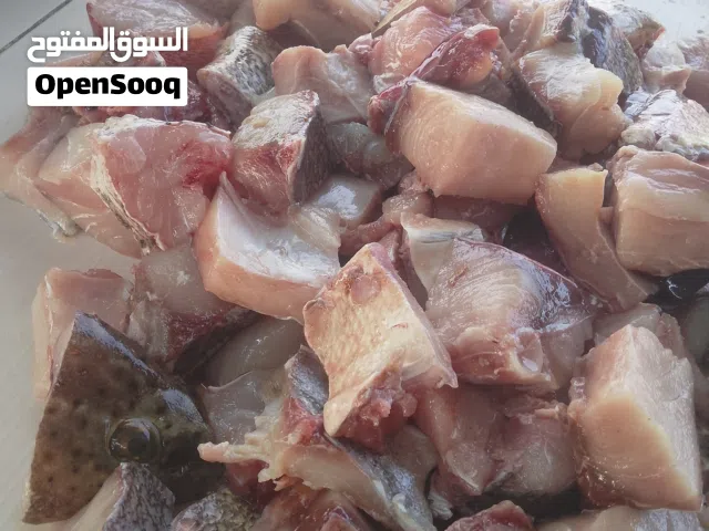 لؤلؤة للاسماك البحرية