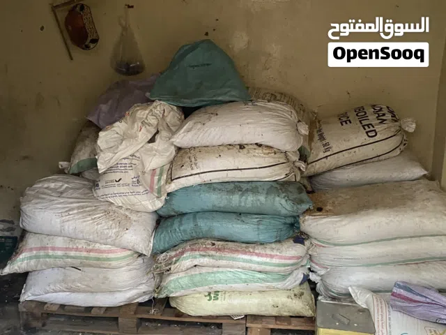 سح نفيعة 2025