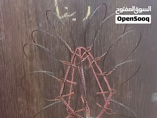 السلام عليكم للبيع شبك عيون المانيه