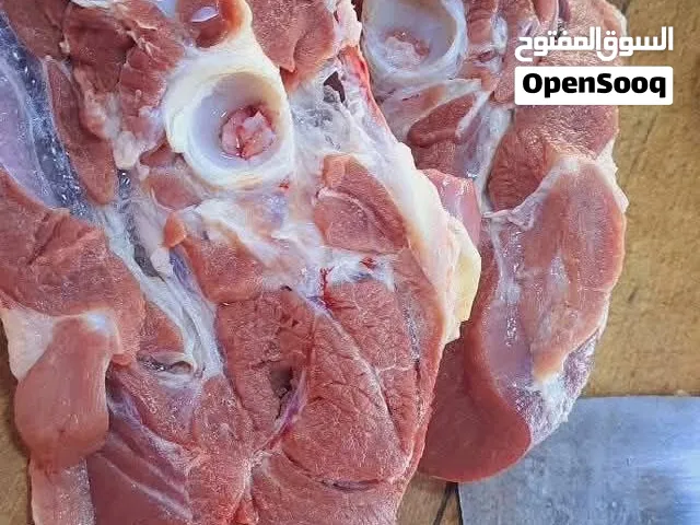 جدي اسباني بلدي روماني